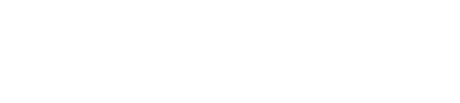 OFFICIAL PARTNERS